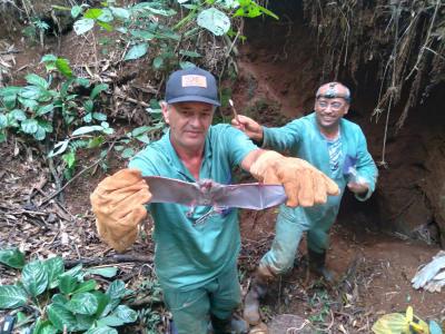 ADAPAR Regional de Laranjeiras do Sul desenvolve trabalho de controle do morcego hematófago